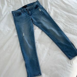 Flying Monkey Cropped Skinny Jeans